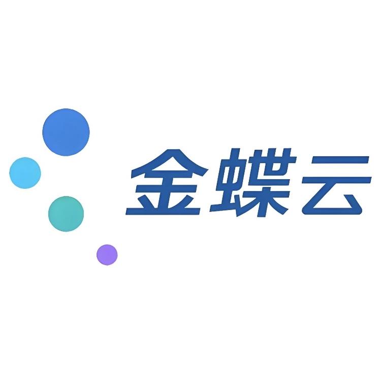 金蝶软件沈