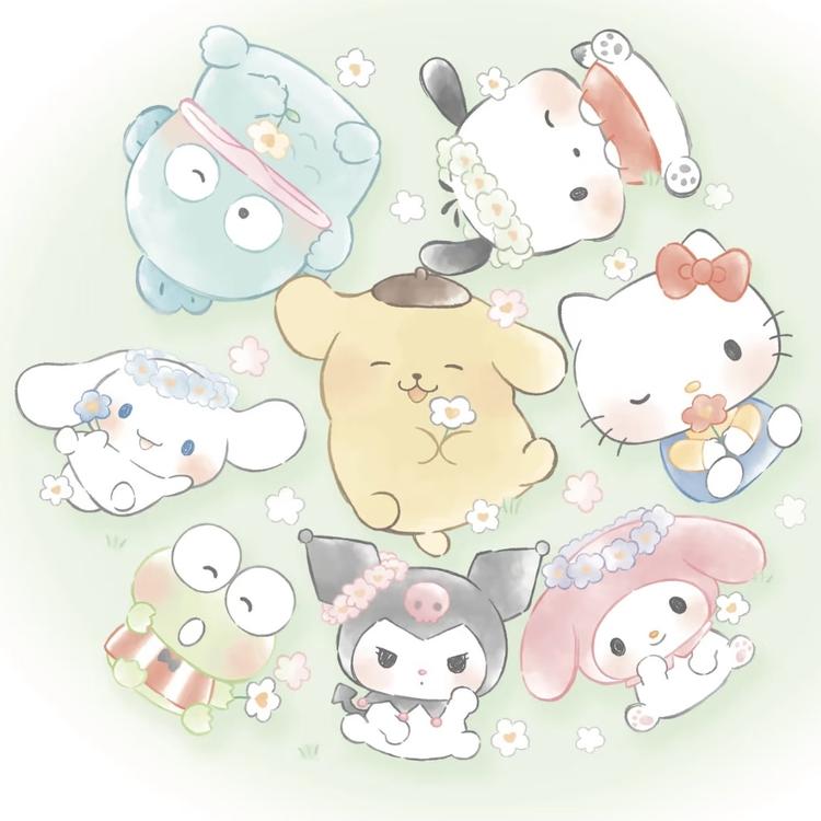 橙子拆拆