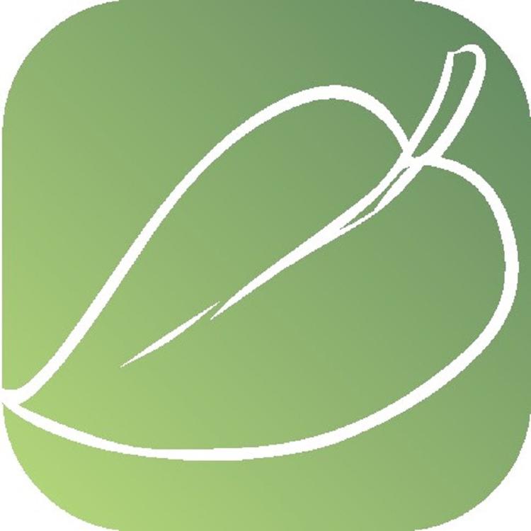 叶子百货个体店