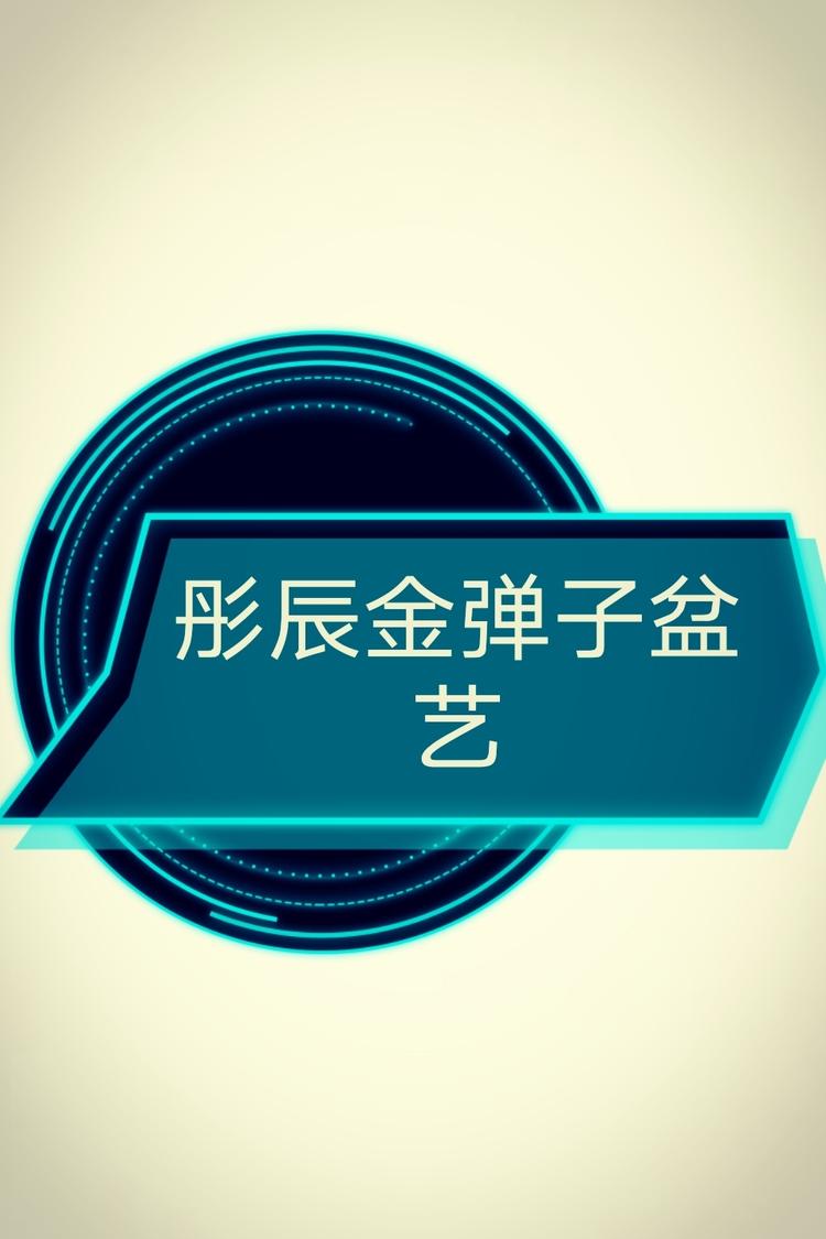 彤辰金弹子盆艺个体店
