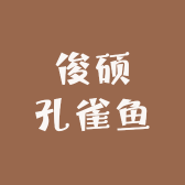 俊硕孔雀鱼