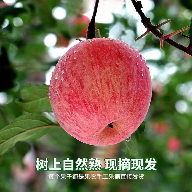 吉果源水果生鲜店