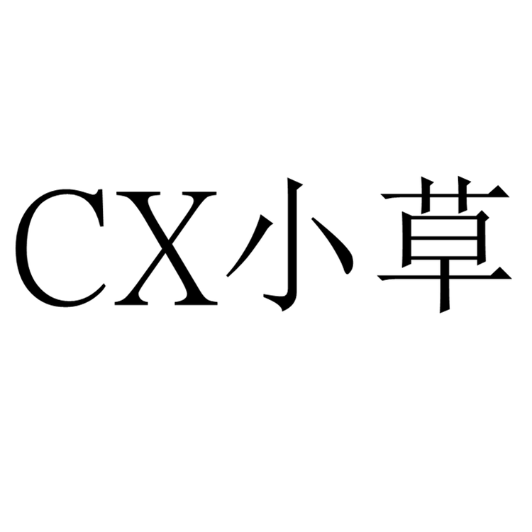 小草服装店个体店