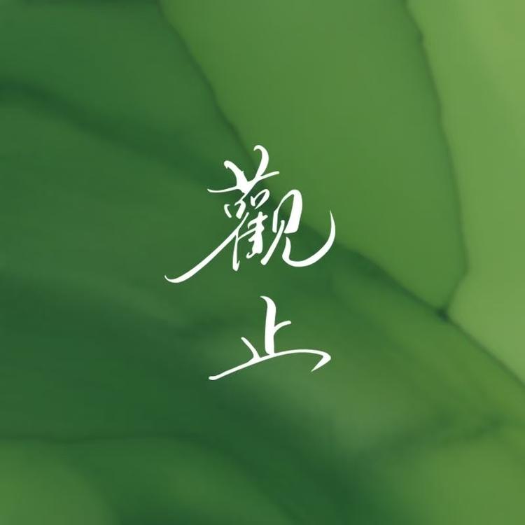 观止臻选