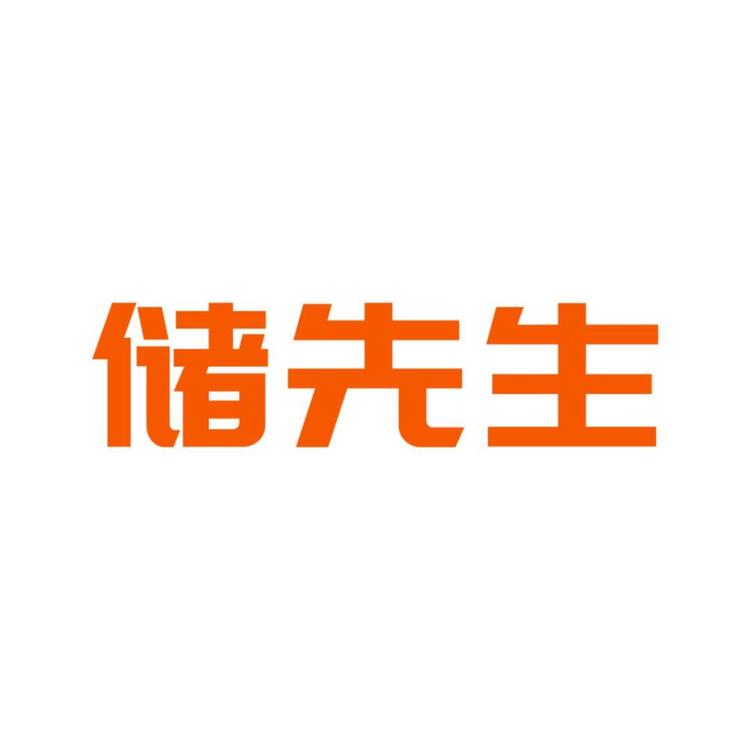 储先生电池