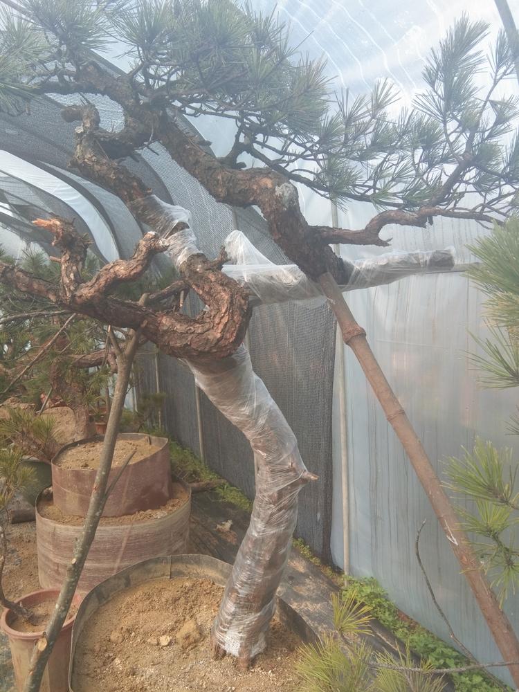 云和品松园家庭农场