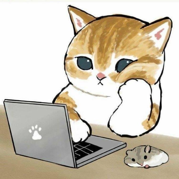 天幻WiFi优选