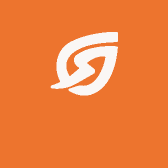 小鸡苗健康活泼