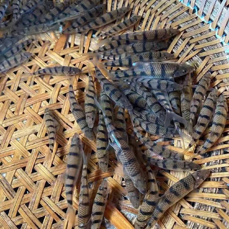 潇江农副产品