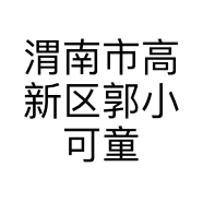 渭南市高新区郭小可童装店的小店个体店