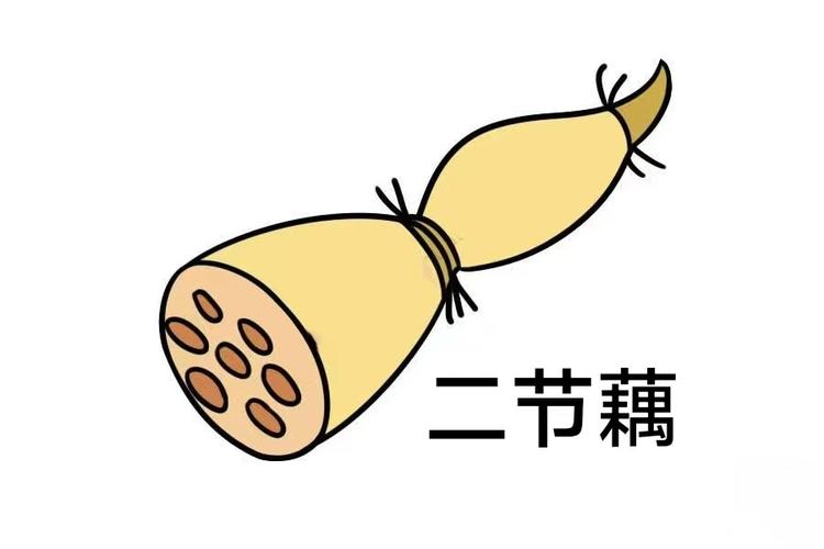 天门市二节藕农产品店