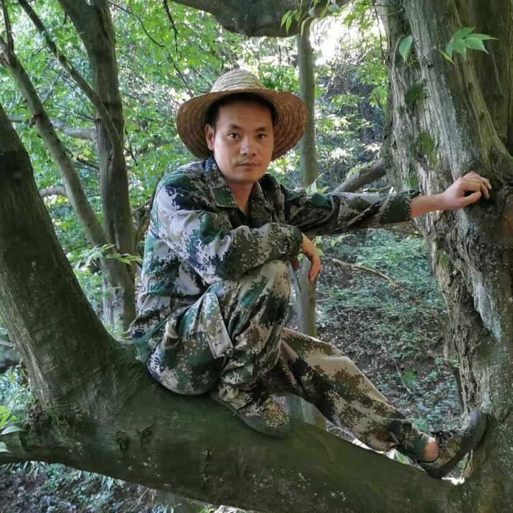 新农人老秦的个体店