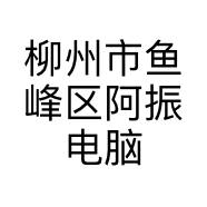 柳州市鱼峰区阿振电脑配件店的小店