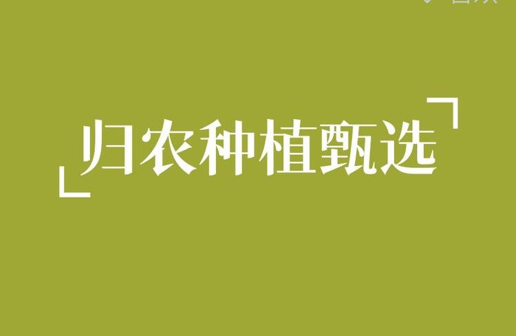 归农种植甄选