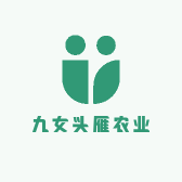 九女头雁农业种植联合社