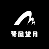 琴风望月琴行