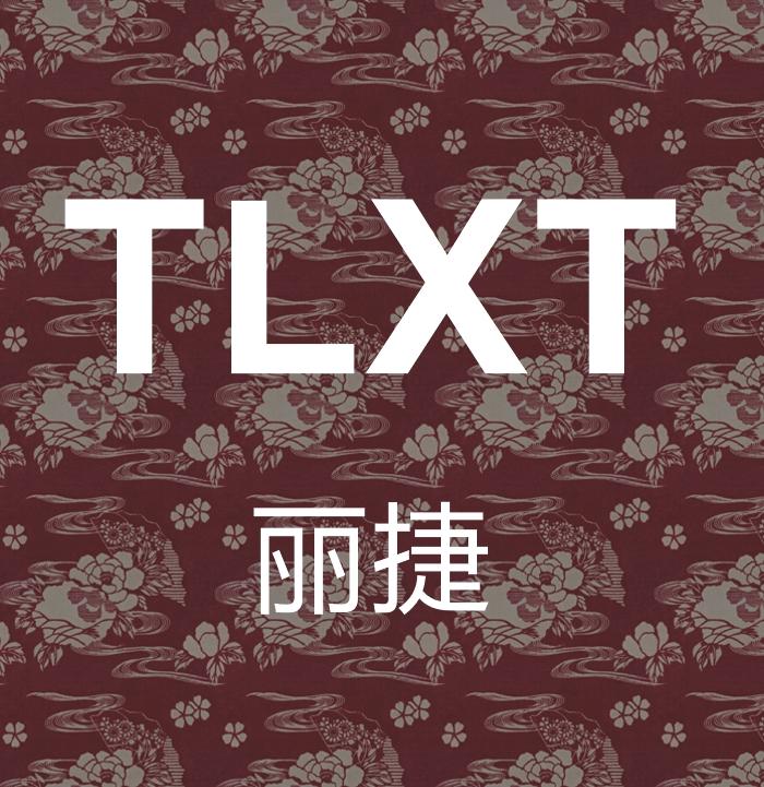 TLXT丽捷时尚女装专卖店