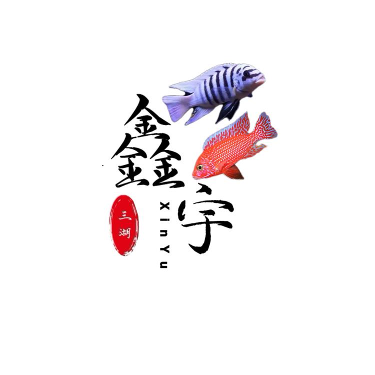 鑫宇三湖慈鲷渔场