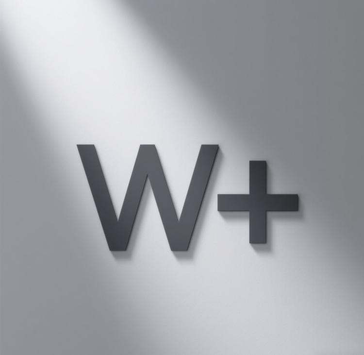 W男装精选店