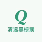 清远黑棕鹅新通利