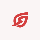 欣悦满天星