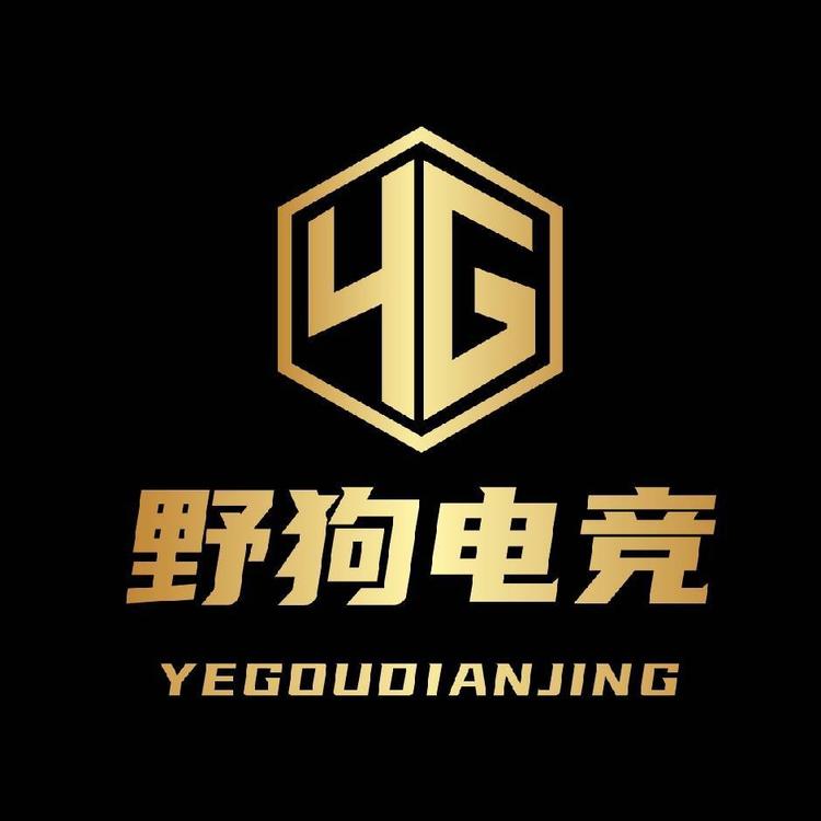 野狗护航电竞
