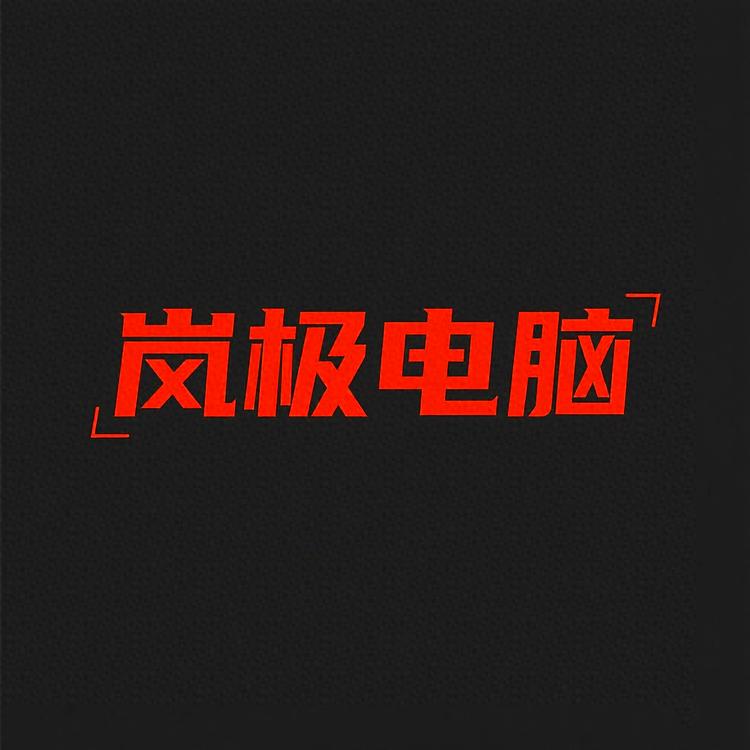 岚极电脑DIY装机店