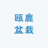 瓯鹿盆栽