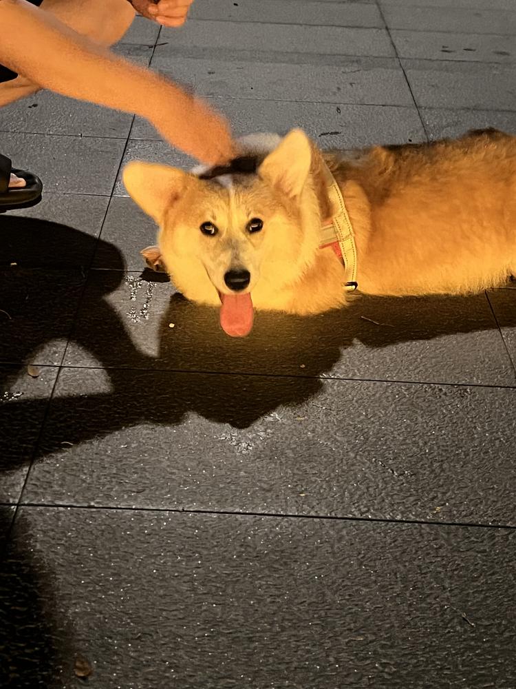 萌萌墩Boy的店