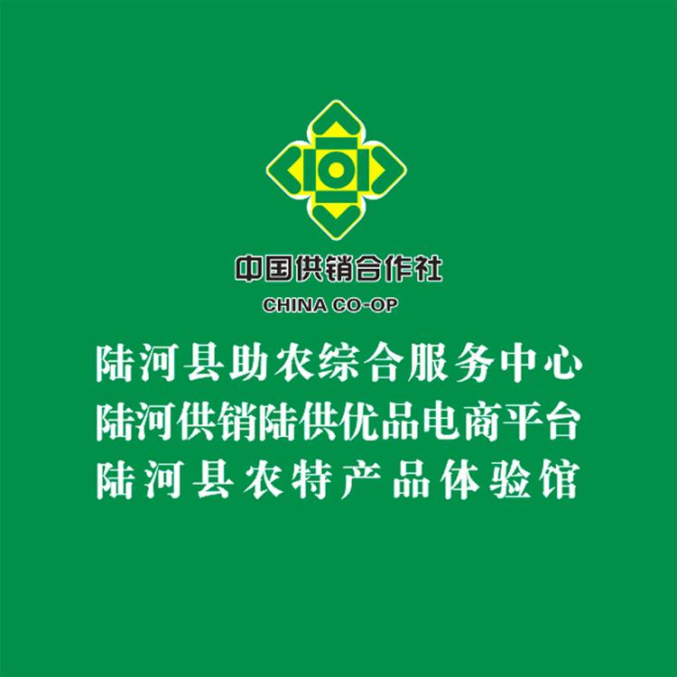 陆河供销馆