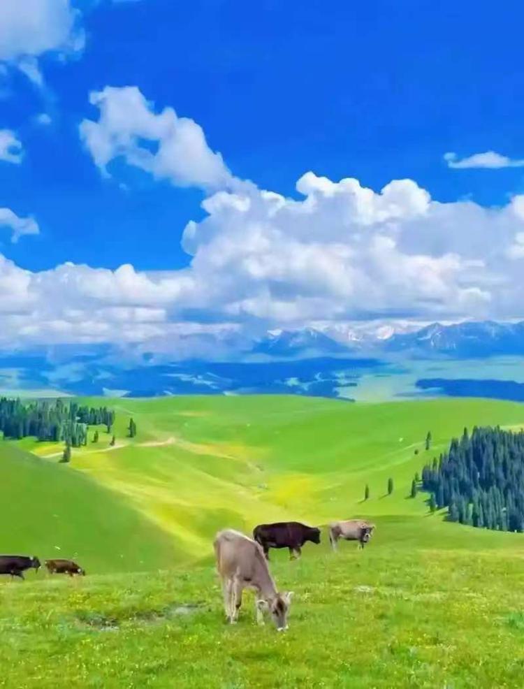 奶乐福乳业中老年奶粉店