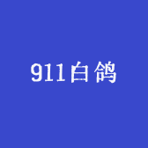911白鸽