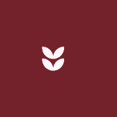 淼淼毛绒可爱屋