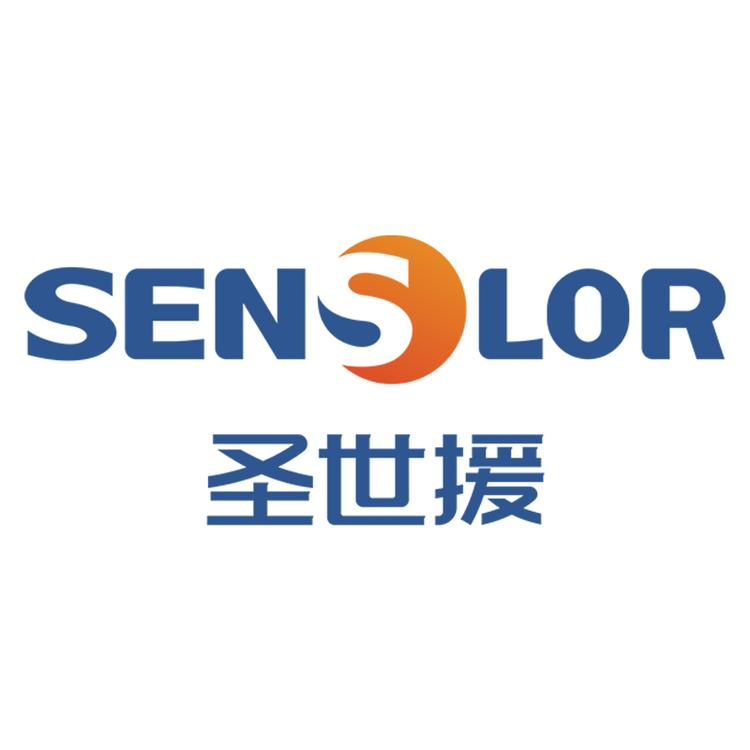 大连圣世援仪表