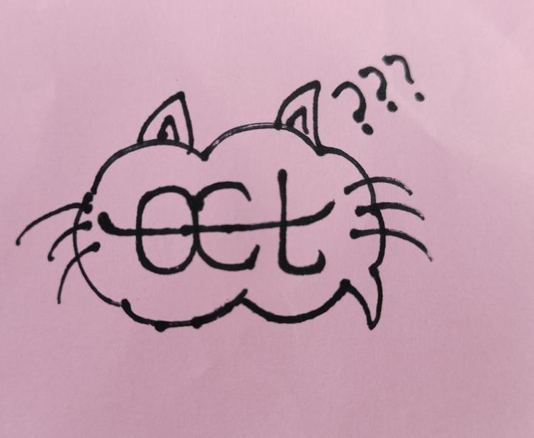爱幻想的猫