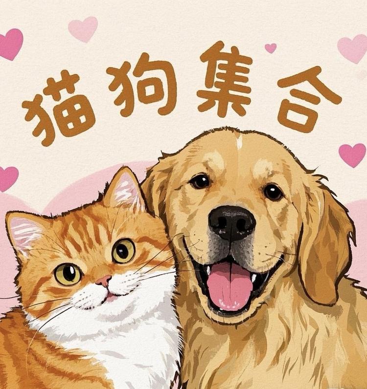 猫狗集合宠物