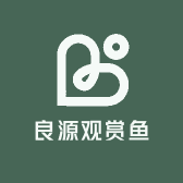 良源观赏鱼