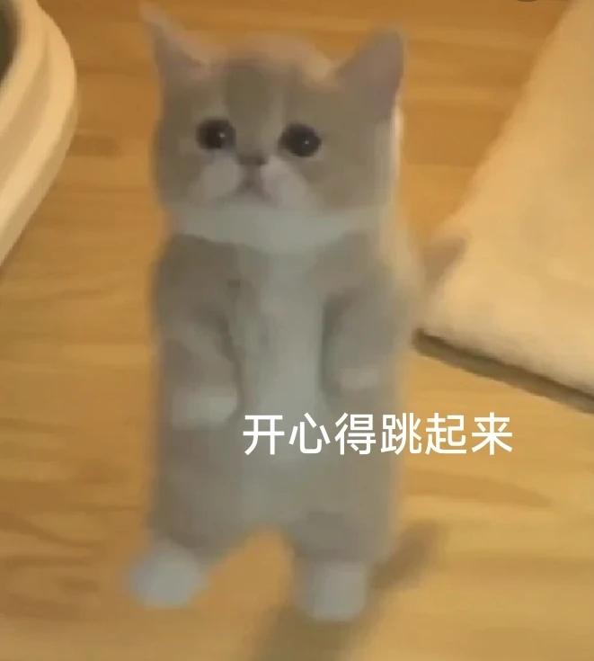 BQ星星小作坊