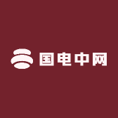 国电中网