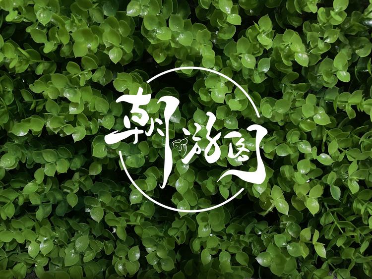 朝游阁