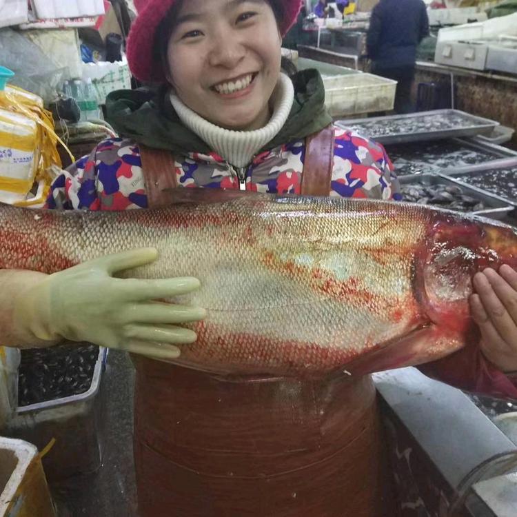 李三东北活鱼行