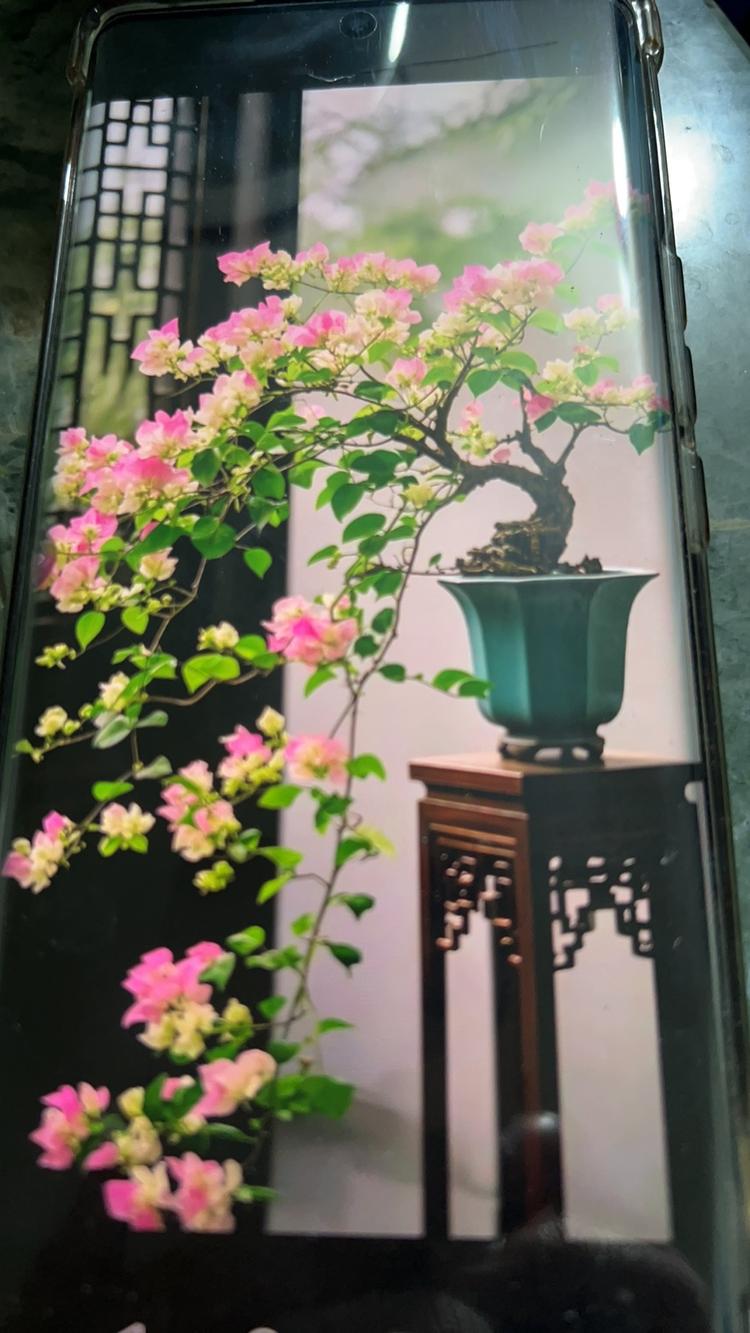 邵雨精选小铺