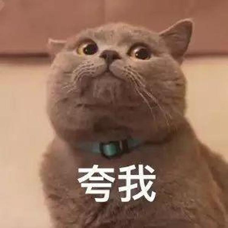 小陈美妆捡漏版