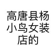 高唐县杨小鸟女装店的小店个体店