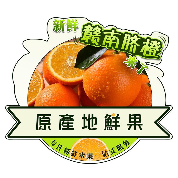 原产地鲜果 赣南脐橙