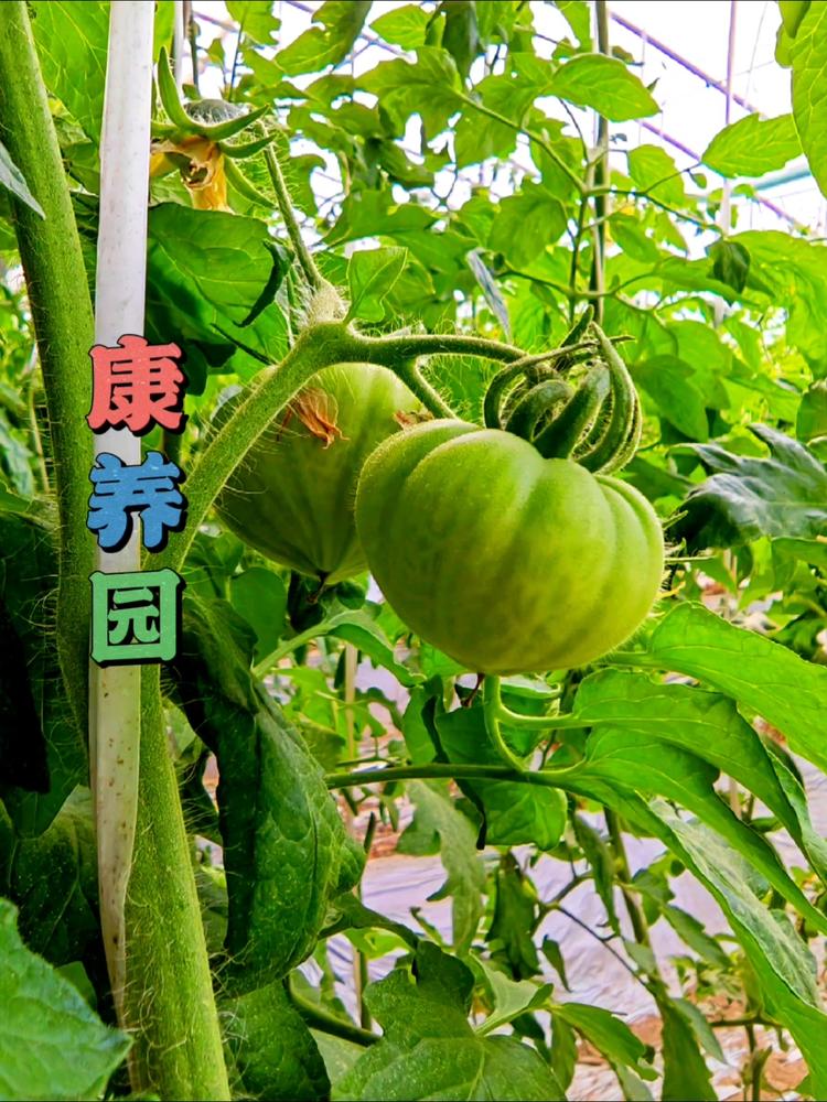 康养园有机农产品企业店