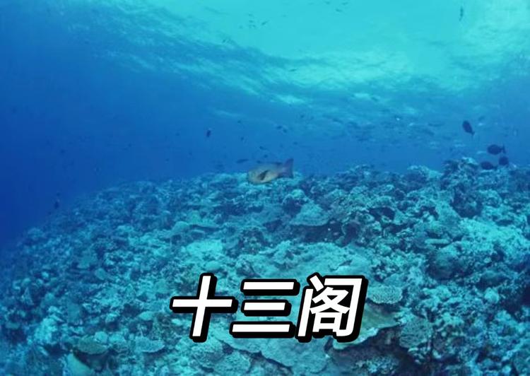 瑛牌蜂蜜