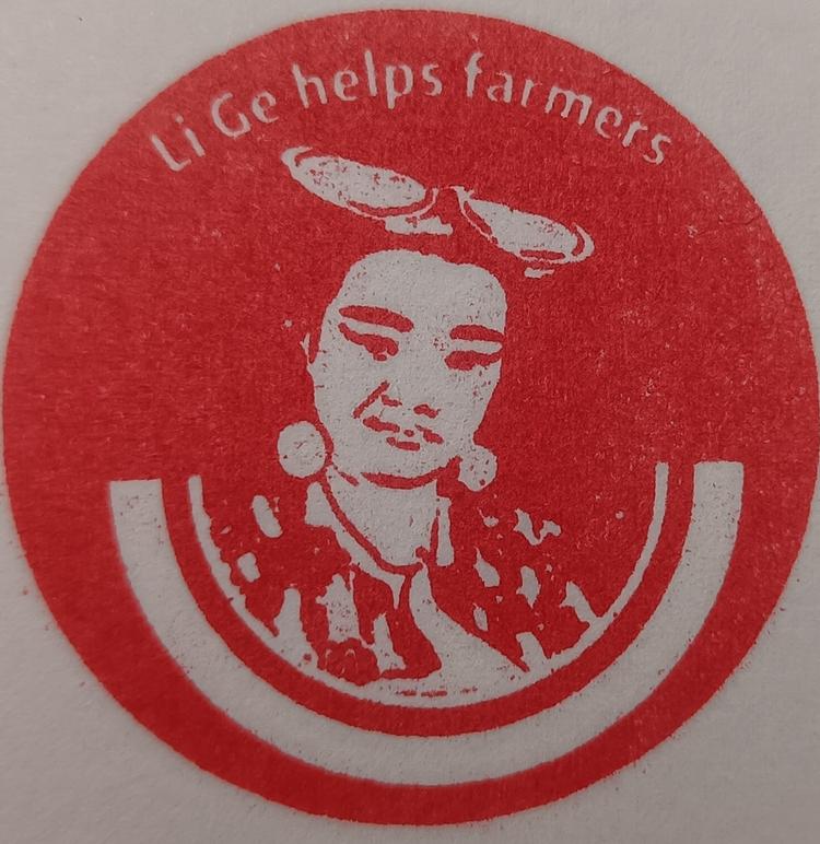 丽哥农情暖万家