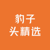 豹子头精选