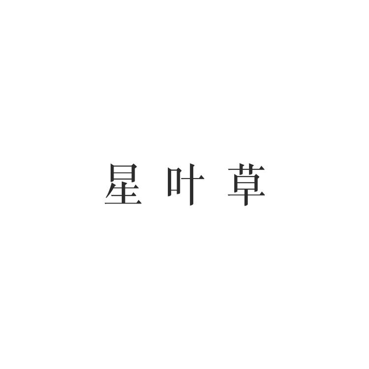 星叶草个体店